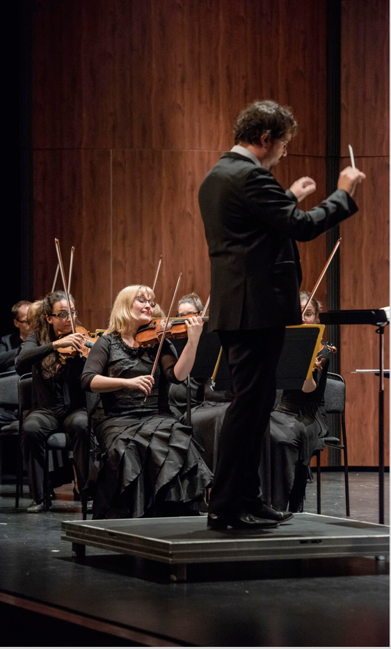 Orchestra with conductor